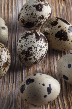 Bıldırcın yumurtası. Na üzerinde küçük bıldırcın yumurtaları ile Düz yatıyordu kompozisyon