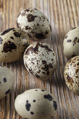 Bıldırcın yumurtası. Na üzerinde küçük bıldırcın yumurtaları ile Düz yatıyordu kompozisyon