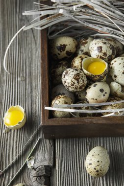 Bıldırcın yumurtası. Na üzerinde küçük bıldırcın yumurtaları ile Düz yatıyordu kompozisyon