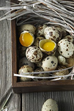 Bıldırcın yumurtası. Na üzerinde küçük bıldırcın yumurtaları ile Düz yatıyordu kompozisyon