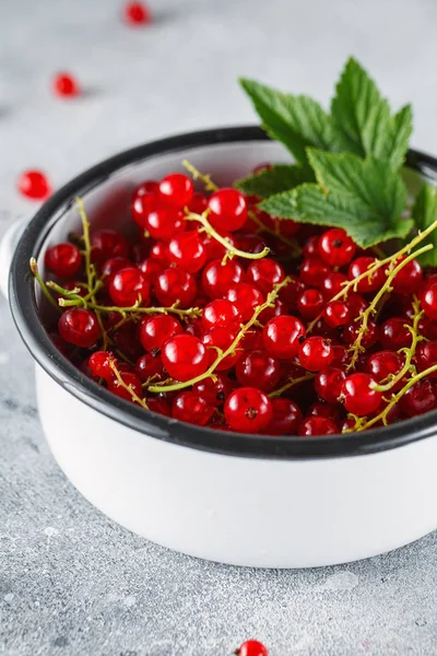 Ripe red currant berries in a bowl close up. Fresh ripe red curr — Stock Photo, Image