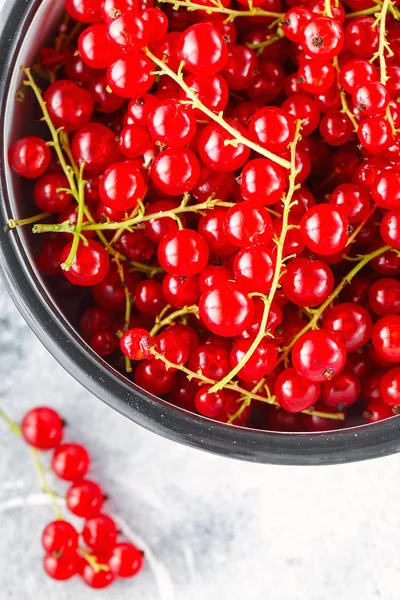Ripe red currant berries in a bowl close up. Fresh ripe red curr