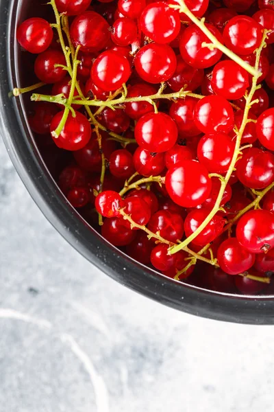 Ripe red currant berries in a bowl close up. Fresh ripe red curr — Stock Photo, Image