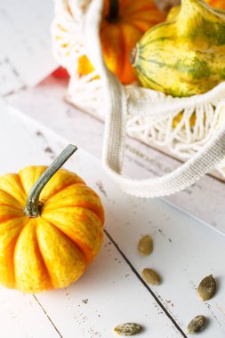 Renkli dekoratif mini kabaklar ile natürmort kompozisyon