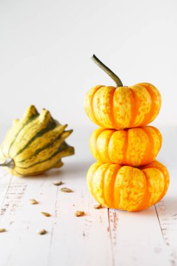 Renkli dekoratif mini kabaklar ile natürmort kompozisyon