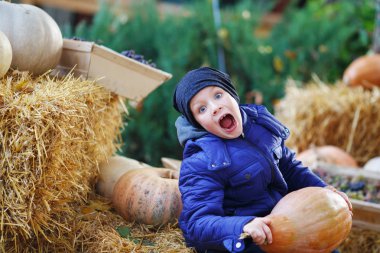Little boy having fun on a tour of a pumpkin farm at autumn. Chi clipart