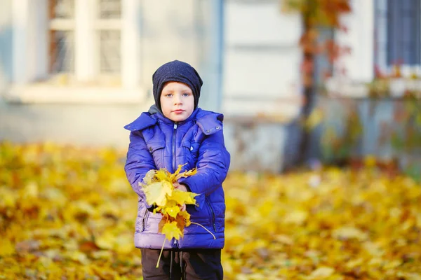 Portrait of happy joyful beautiful little boy outdoors at the au — Stock Photo, Image