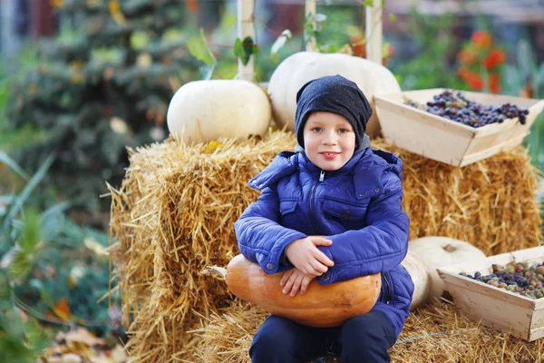 Little boy having fun on a tour of a pumpkin farm at autumn. Chi — Stock Photo, Image