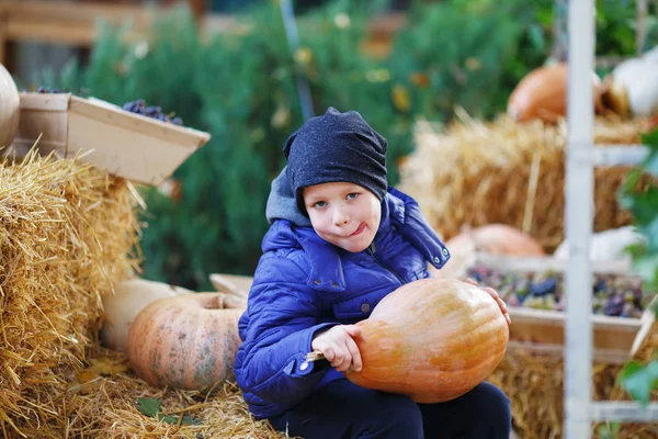 Little boy having fun on a tour of a pumpkin farm at autumn. Chi — Stock Photo, Image