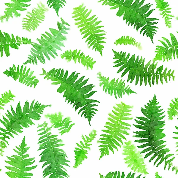 Akvarell Zökkenőmentes Minta Páfránylevelek Botanikai Zökkenőmentes Háttér Kézzel Rajzolt Zöld — Stock Fotó