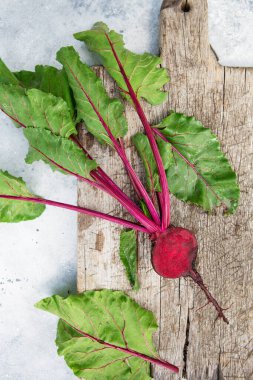 Tahta üzerinde yaprakları olan taze pancar kökü. Sağlıklı yiyecekler. Pancar kökleri. Organik pancar, gri kırsal arka planda pancar. Yeşil yaşam konsepti. Organik yiyecekler.