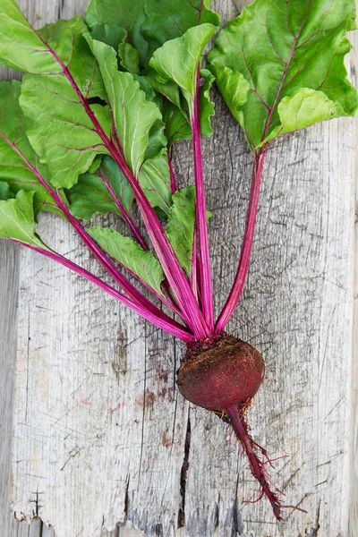 Frische Rote Bete Mit Blättern Auf Einem Holzbrett Gesunde Ernährung — Stockfoto