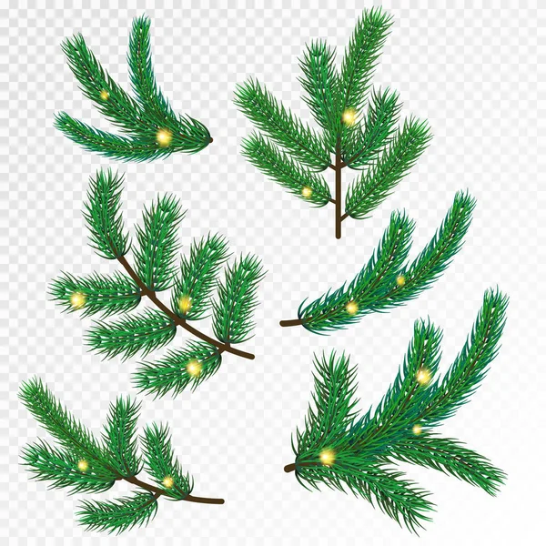 Fir tree Christmas tree branches with gold sparkle isolated in white background. Pine tree branches for winter holiday decoration. Vector illustration. Element for christmas or New Year design. — Stock Vector