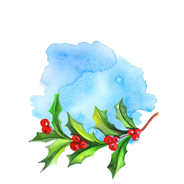 Aquarell Weihnachten Pfeilspitze Pflanze, rote Beeren, Stechpalme Pflanze auf dem blauen Schnee Himmel Hintergrund. — Stockfoto