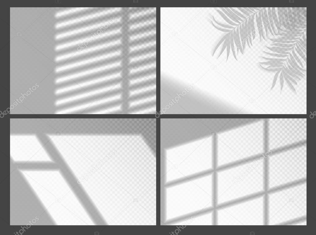 Shadow overlays for mockup presentation. Organic palm tree shadow and jalousie shadows window frame for natural light effects. Window light and shadow realistic grey decorative vector background