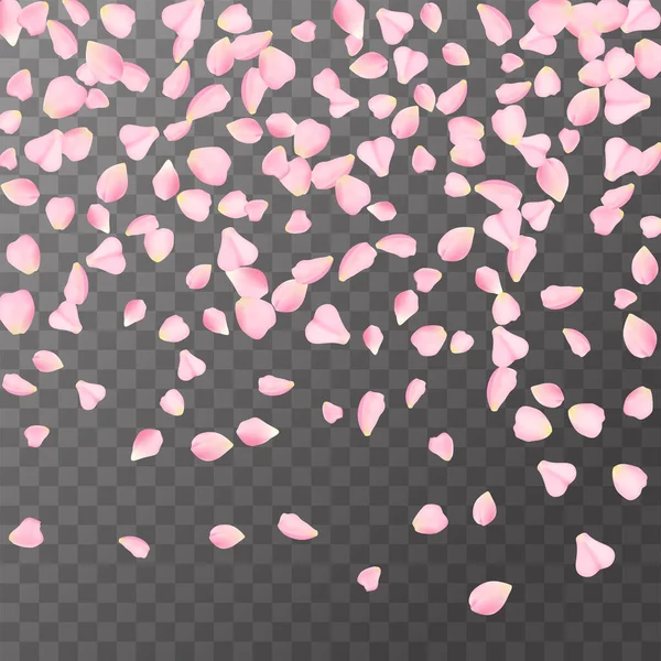 Abstracte romantische achtergrond met vliegende roze roos, kers of sakura bloemblaadjes geïsoleerd op een transparante achtergrond. Vliegende roze bloemblaadjes modelleren. Vector illustratie. EPS 10. — Stockvector