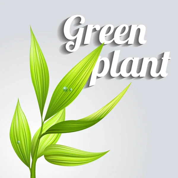 Natural green plant leaf isolated on white background with clouds. Экологический шаблон дизайна. Вектор. EPS 10 — стоковый вектор
