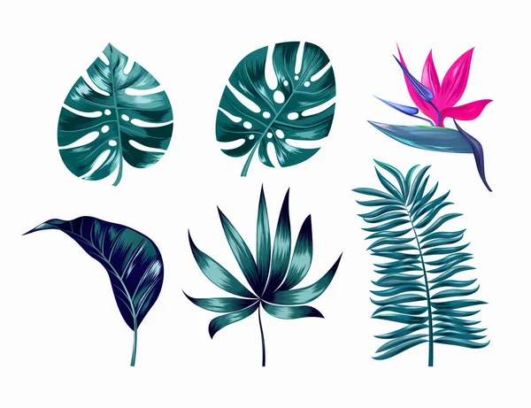 Векторні тропічні модні літні пальми листя і квітка, листя джунглів, розділене листя, листя філодендрону ізольовані на білому тлі. ЕПС 10 . — стоковий вектор