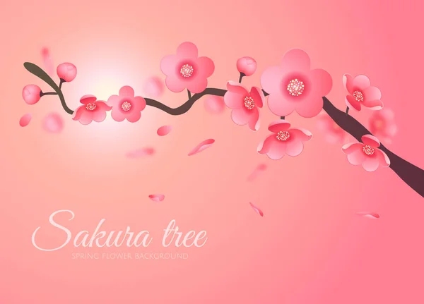 Sakura Vector Blume Zweig Element am Himmel mit Sonne. Elegante Textur für Hintergründe. 3D-Elemente Papierschnitt. — Stockvektor