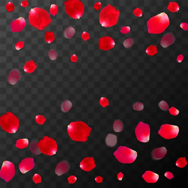Abstrakter Hintergrund mit fliegenden roten Rosenblättern auf schwarzem, transparentem Hintergrund. Vektorillustration. EPS 10 — Stockvektor