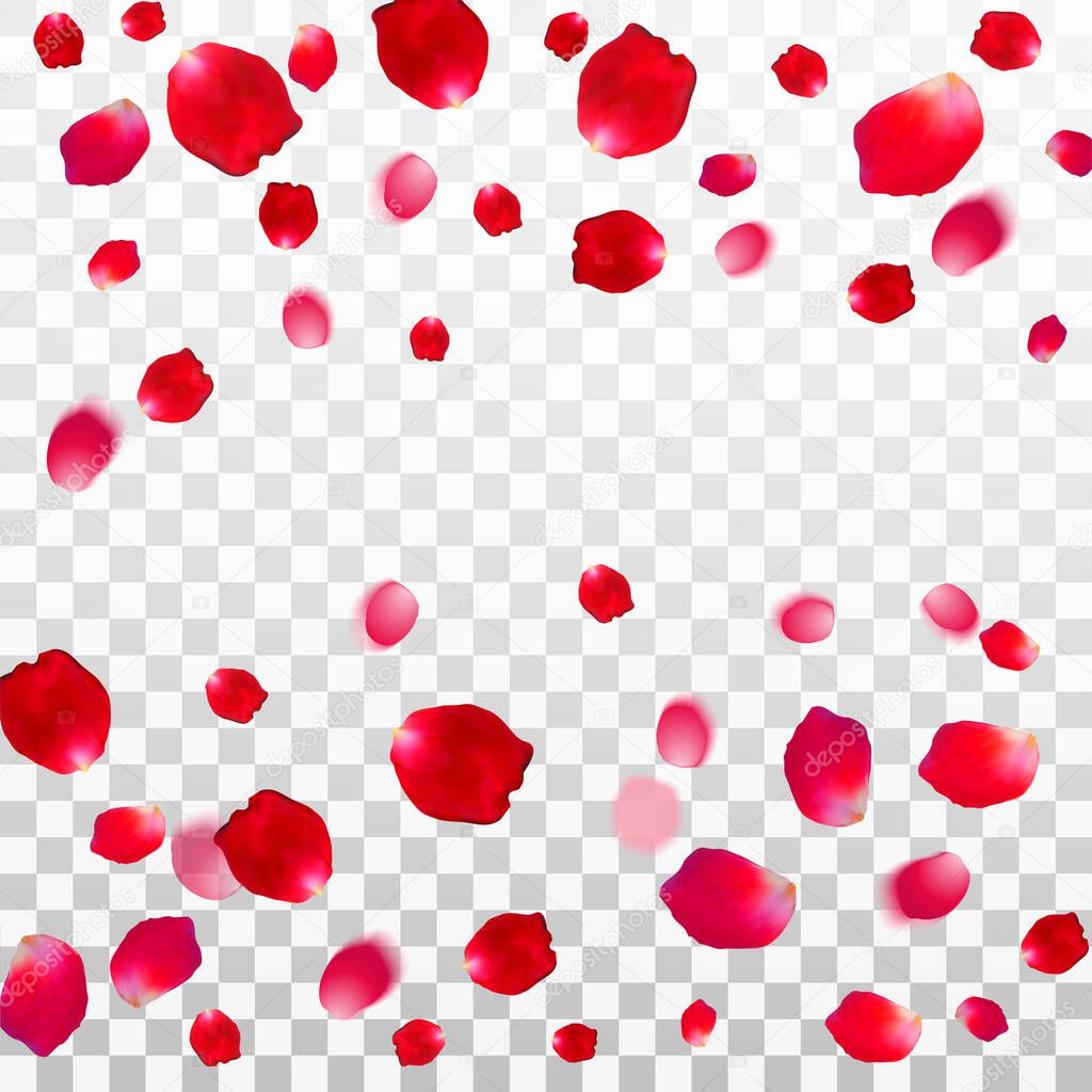 Abstract background with flying red rose petals on a white transparent background. Vector illustration. EPS 10