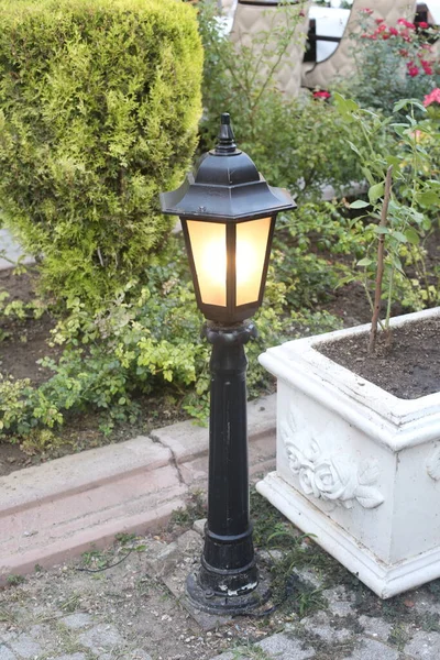 Lámpara Junto Acera Jardín — Foto de Stock