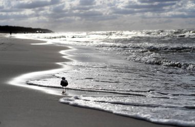 12 Temmuz 2018 - Ostrow, Polonya: Polonya Baltık Denizi yaz aylarında