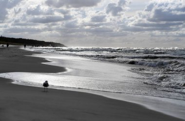 12 Temmuz 2018 - Ostrow, Polonya: Polonya Baltık Denizi yaz aylarında