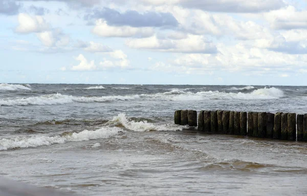 12 Temmuz 2018 - Ostrow, Polonya: Polonya Baltık Denizi yaz aylarında
