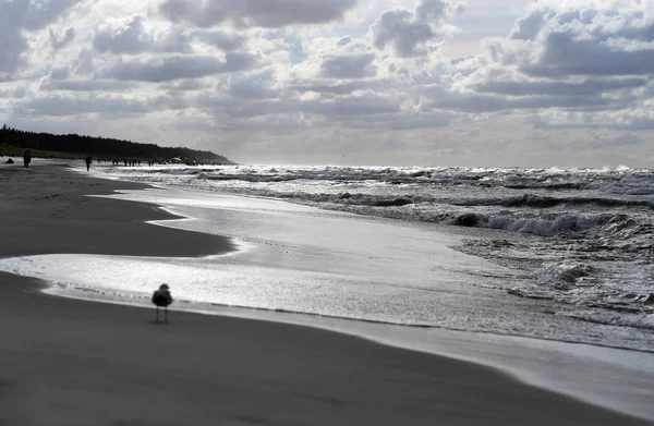 12 Temmuz 2018 - Ostrow, Polonya: Polonya Baltık Denizi yaz aylarında