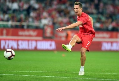 Wroclaw, Polonya - 11 Eylül 2018: Polonya ve Irelan Cumhuriyeti arasında Uluslararası dostluk maçı