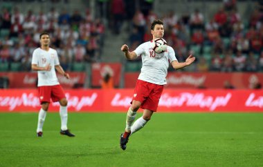 Wroclaw, Polonya - 11 Eylül 2018: Polonya ve Irelan Cumhuriyeti arasında Uluslararası dostluk maçı