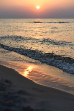 12 Temmuz 2018 - Ostrow, Polonya: Polonya Baltık Denizi yaz aylarında