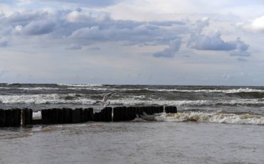 12 Temmuz 2018 - Ostrow, Polonya: Polonya Baltık Denizi yaz aylarında