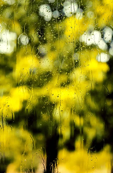 雨落在窗口与模糊的剪影树在背景与聚焦在一些 Waterdrops — 图库照片