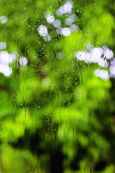 Rain drops on the window with blurry silhouette of a tree in the backgroud with focuse on some waterdrops