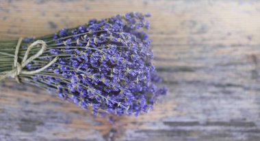 Eski bir boyalı ahşap arka planda kuru lavanta buket yakın. Fransız rustik kır dekoru. Kopya alanı ile üst görünüm