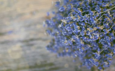 Eski bir boyalı ahşap arka planda kuru lavanta buket yakın. Fransız rustik kırsal dekor