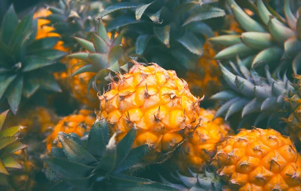 Meyve pazarında taze ananas yakın. Parlak renkli su