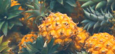 Meyve pazarında taze ananas yakın. Parlak renkli su