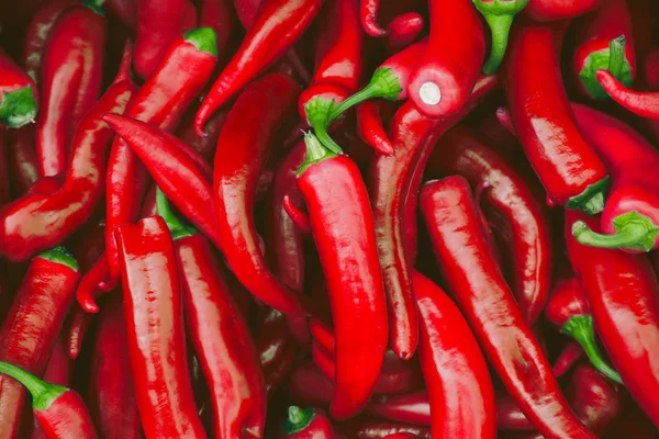 Friss meleg piros chili pepppers a piacon, mint az élelmiszer háttérb — Stock Fotó