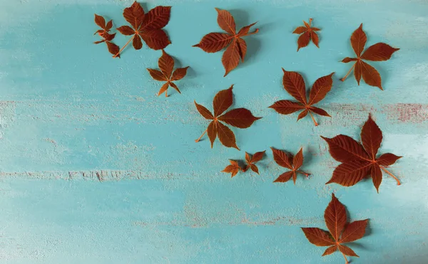 Sonbahar kestane eski boyalı ahşap masa üzerinde yaprakları . Nat