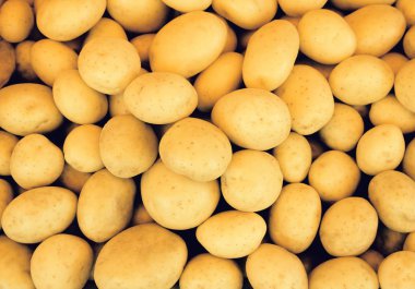 Markette taze patates. Gıda arka plan kavramı