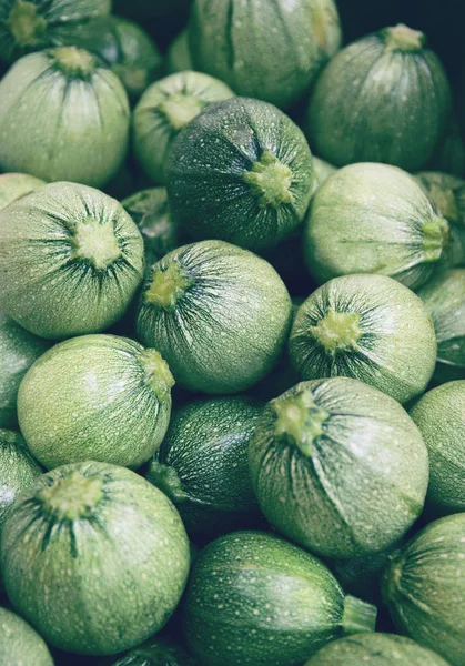 Round marrow at the market closeup. Organic product suitable for — Stock Photo, Image