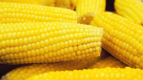 Fresh boiled yellow corn in the street market. Food to go. Tasty — Stock Photo, Image