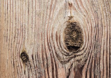 Tahta dokuyu kapat. Doğal malzeme konsepti. Özet geç