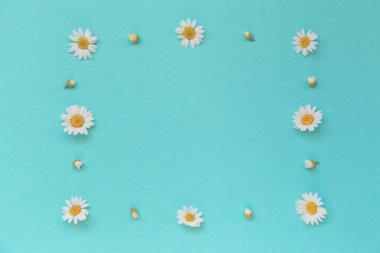 Papatya çiçekleri pastel arka planda bir çerçeve olarak yatar. Mevsimlik kartlar, bloglar, posterler ve web tasarımı için çiçek arkaplanı. Üst Manzara. Düz yatıyordu