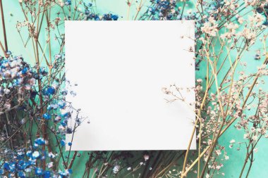 Renkli arka planda çayır çiçekleri olan metin için boş beyaz boşluk. Mevsimlik kartlar, bloglar ve web tasarımı için doğal çiçek arkaplanı