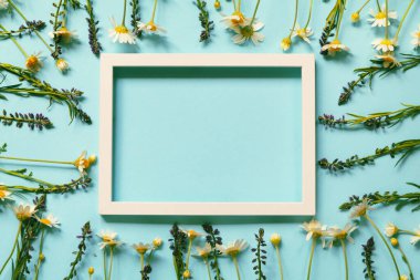 Pastel arka planda beyaz çerçeveli çayır çiçekleri. Mevsimlik kartlar, bloglar, web tasarımı için yaratıcı doğa düzeni. Üst görünüm, boşluğu kopyala. Düz yatıyordu