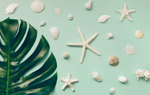 Summer composition with monstera leaf, starfishes and shells on pastel background. Vacation and travel concept. Abstract backdrop